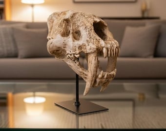 Vintage Animal Skull Display Sculpture with Stand | Bold Gothic Accent