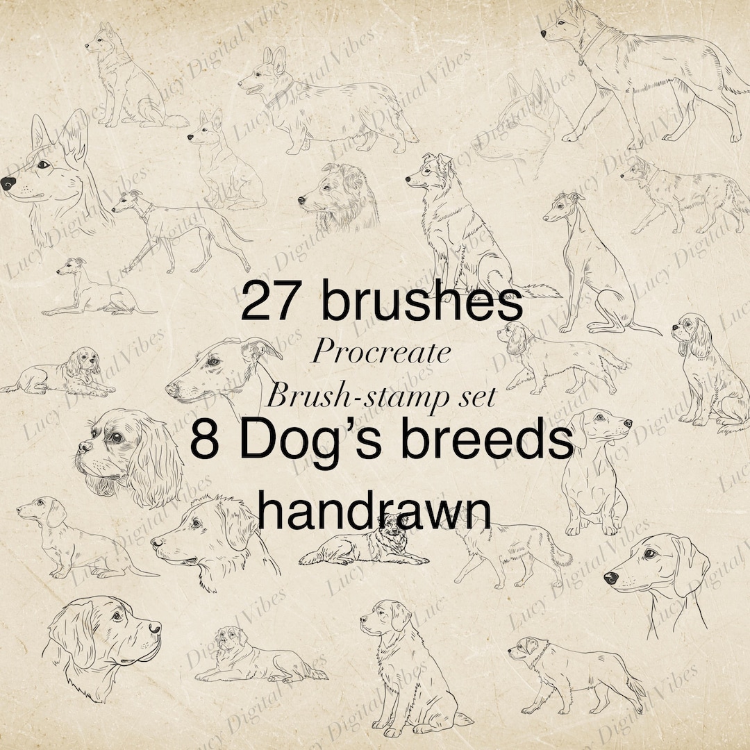 Procreate Lab Dog 8 Dog Breeds Procreate Brushes: Capture Different Body Poses, Dogs ...