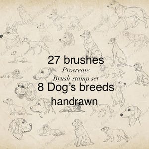 8 Dog Breeds Procreate Brushes: Capture Different Body Poses, Dogs breeds procreate stamp set, Brushes for procreate