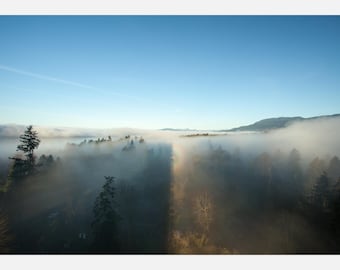 Foggy View Photography Download, Forest Mist Landscape Wall Art