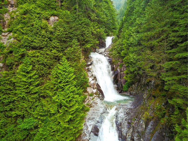 A white waterfall descending through a rocky channel among dense green conifers, with the larger mass of bright trees on the left.
