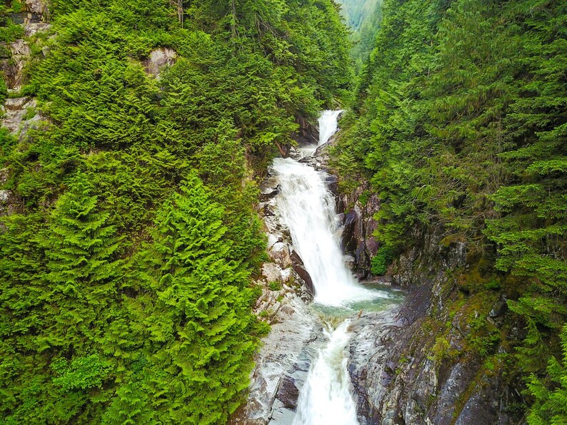 White waterfall descending through a rocky channel amid dense green conifers, shown in the complete composition.