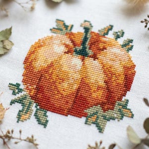 Puede incluir: Un bordado de punto de cruz sobre tela blanca que muestra una calabaza redonda en tonos naranja, amarillo y rojo. La calabaza tiene un tallo verde oscuro y está rodeada de pequeñas hojas verdes detalladas bordadas en la base.