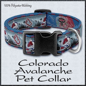 Avalanche dog deals collar