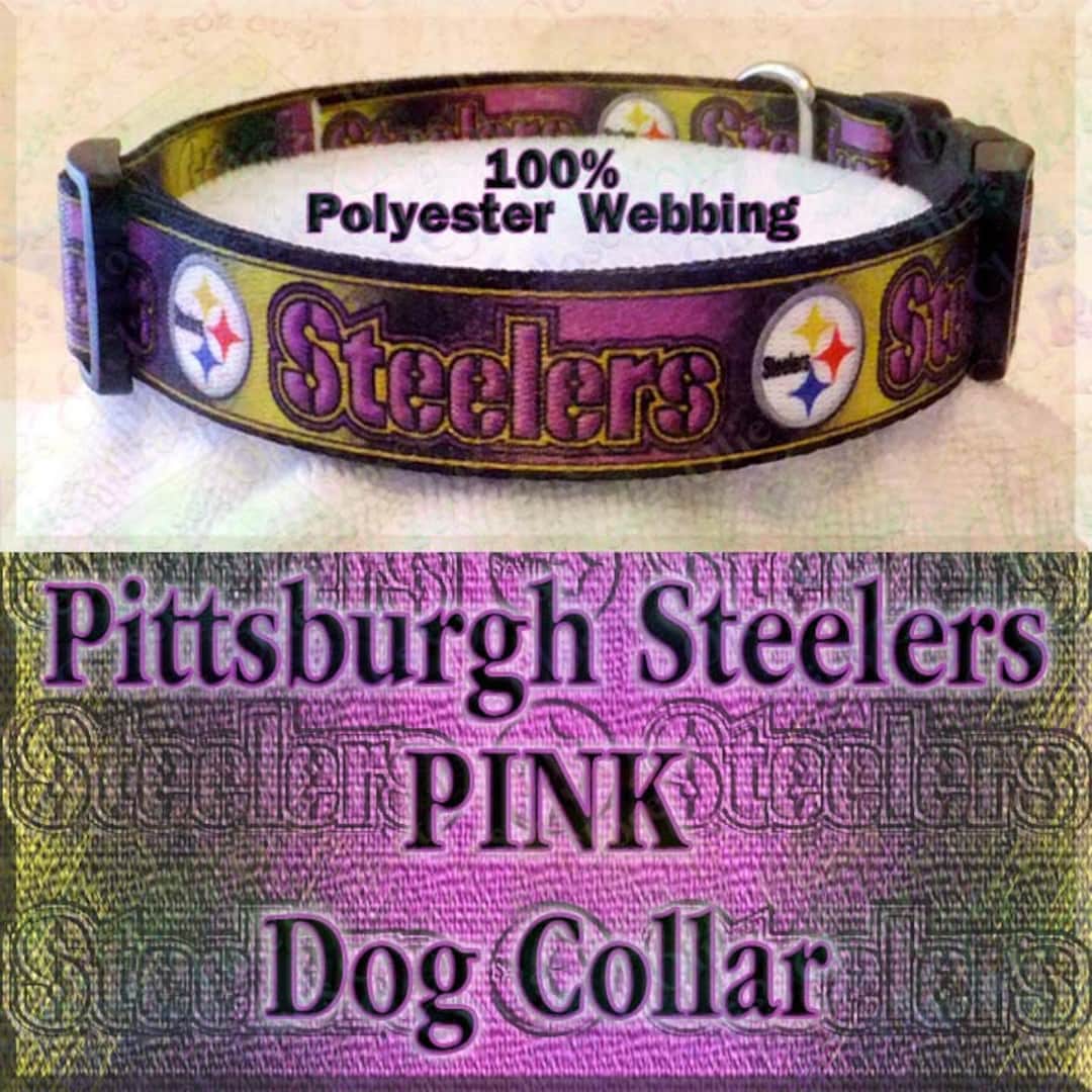 pink pittsburgh steelers dog collar