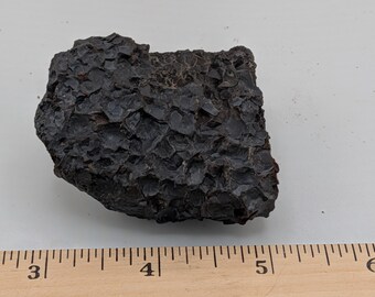 Rara piedra con forma de escama de dragón. Fósil único con patrón de escamas naturales en forma de nódulo de hierro. Regalo perfecto para coleccionistas, amantes de los dragones y entusiastas de la geología.