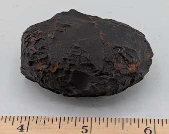 Rara piedra con forma de escama de dragón. Fósil único con patrón de escamas naturales en forma de nódulo de hierro. Regalo perfecto para coleccionistas, amantes de los dragones y entusiastas de la geología.