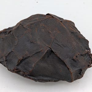 Sällsynt drakfjällsten. Unikt järnknölfossil med naturligt fjällmönster. Perfekt present till samlare, drakälskare och geologientusiaster.