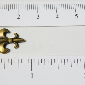 10 Fleur-de-Lis charms antique bronze 19x12mm PMLF1288Y image 2