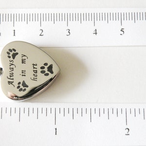 Heart Cremation Urn Pendant With Paw Prints and Always in My Heart 316L ...