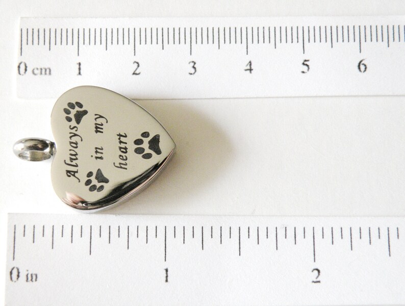 Heart Cremation Urn Pendant With Paw Prints and Always in My Heart 316L ...
