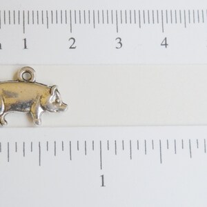 10 Pig Hog charms Chinese Year of the Pig Zodiac FFA antique silver 13x20mm P20363 image 2