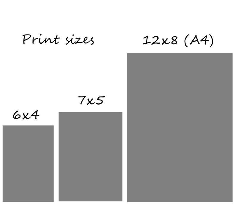 Instant Artist free. download full Version Instant Artist free. download full Version