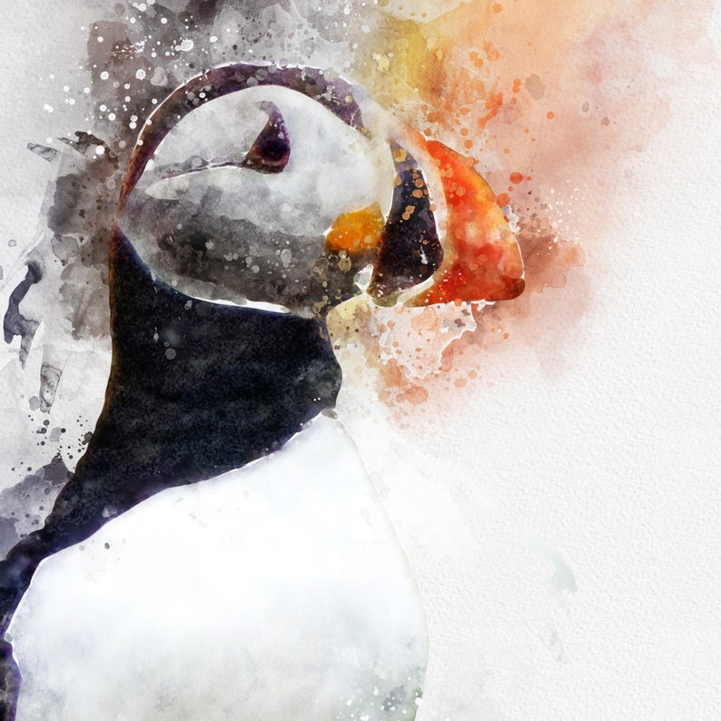 affordable modern feathers racing Printable wall art Original artwork print bird Puffin watercolor painting digital download