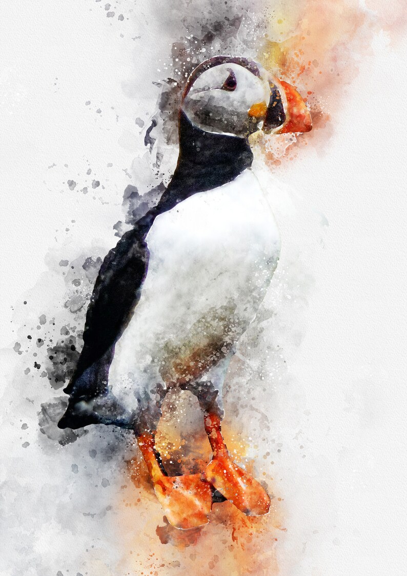 affordable modern feathers racing Printable wall art Original artwork print bird Puffin watercolor painting digital download