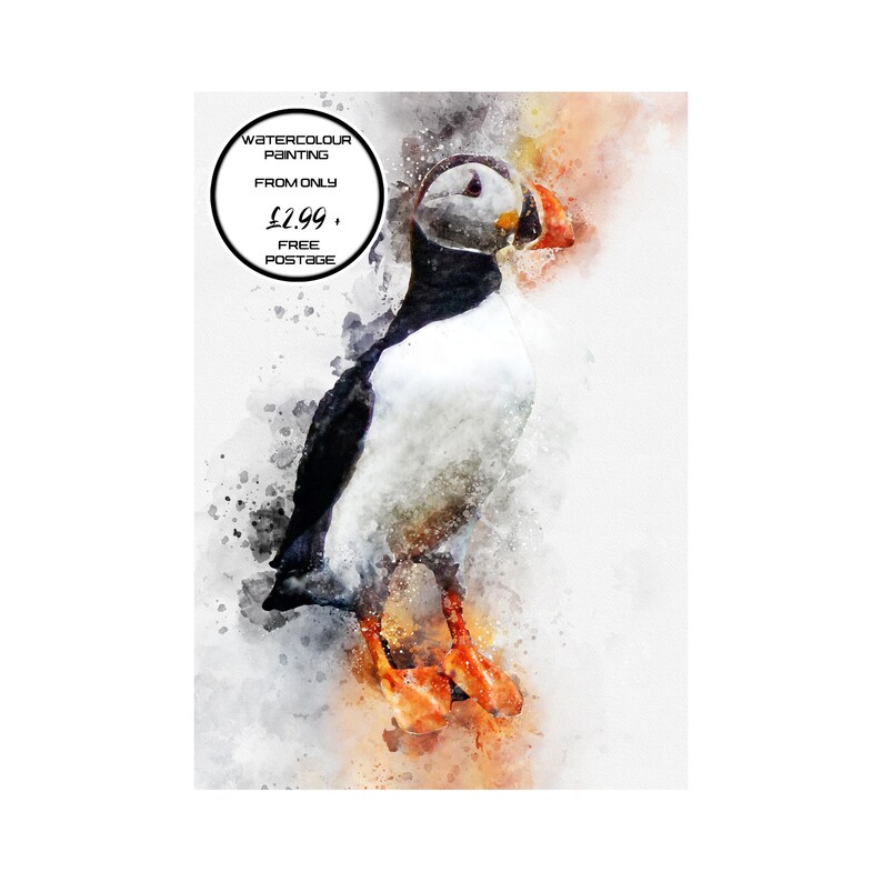 affordable modern feathers racing Printable wall art Original artwork print bird Puffin watercolor painting digital download