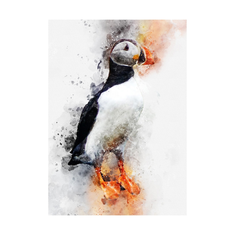 affordable modern feathers racing Printable wall art Original artwork print bird Puffin watercolor painting digital download