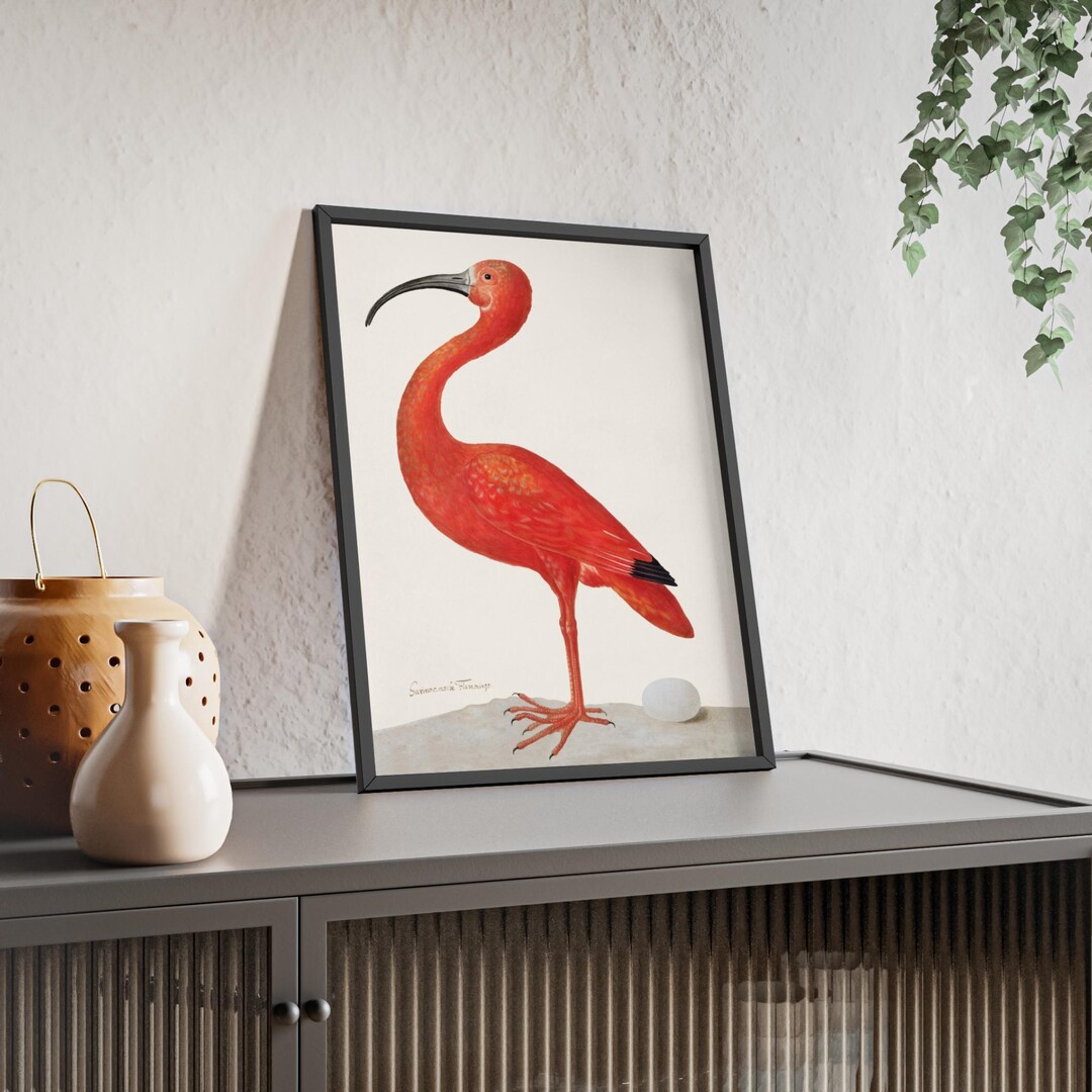 Red Scarlet Ibis Illustration Poster | Framed Bird Art Print - Etsy