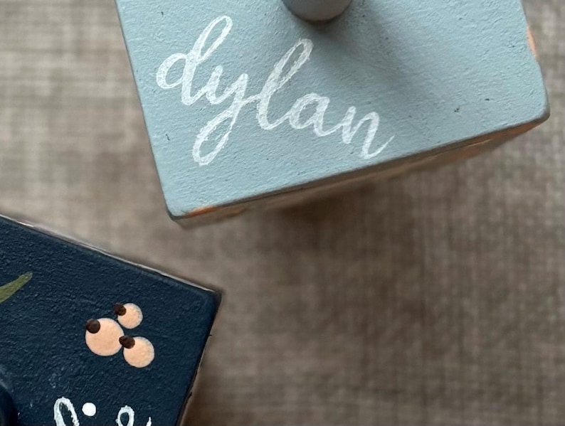 Puede incluir: Dos peque&ntilde;os bloques de madera pintados. Uno es azul claro con el nombre "dylan" en escritura blanca. El otro es azul oscuro con un dise&ntilde;o floral. Los bloques est&aacute;n sobre una superficie de tono neutro.