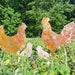 Chicken Family Farm Garden Stake- Metal Garden Sign- Custom Garden Sign- Free Shipping! - Chicken Rooster Chick Hen- Free Range 