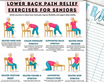 Lower Back Pain Relief Exercises, Gentle Back Stretch Chart, Senior Back Care Routine, Printable Therapy Exercises, Home Mobility Guide