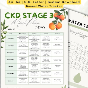 May include: A printable 7-day meal plan for CKD Stage 3, designed for a healthy diet. The plan includes breakfast, lunch, dinner, and snack options. The document is available in A4, A5, and U.S. Letter sizes, with a bonus water tracker.