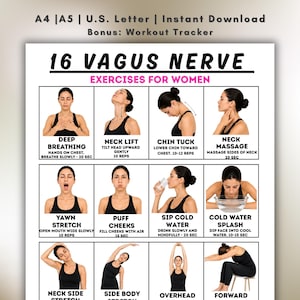Pode incluir: Um guia de exercícios imprimível intitulado "16 Exercícios do Nervo Vago para Mulheres". O guia apresenta imagens que demonstram exercícios como respiração profunda, elevação do pescoço, queixo para dentro e respingos de água fria. Texto: A4, A5, U.S. Letter, Download instantâneo.