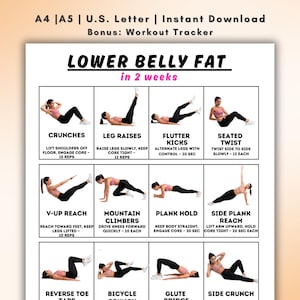 May include: A printable workout guide for reducing lower belly fat in 2 weeks. The guide features illustrated exercises such as crunches, leg raises, flutter kicks, and plank hold. Includes text: "Lower Belly Fat in 2 weeks."