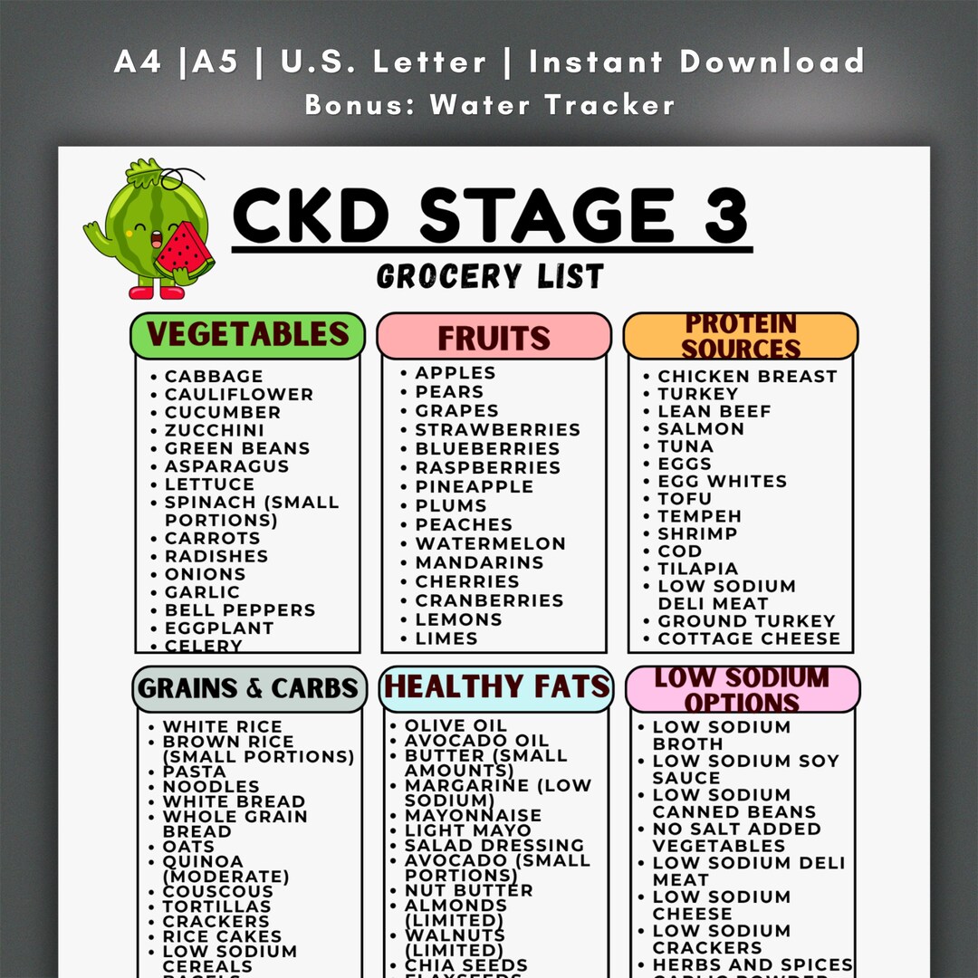 CKD Stage 3 Grocery List, Renal Diet Planner (digital Download) - Etsy