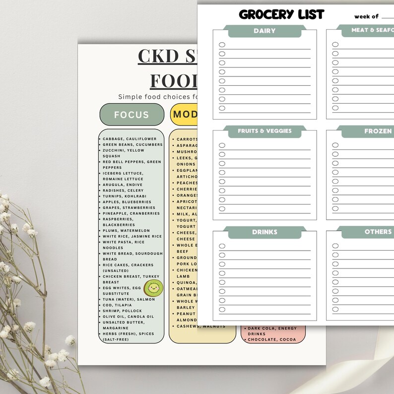 CKD Stage 3 Food List Printable, Kidney Disease Diet PDF, Low Sodium ...