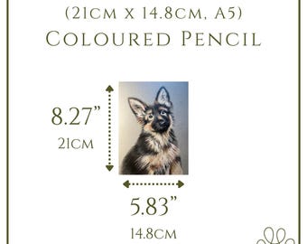 DEPOSIT – 8.27’’ x 5.83’’/21cm x 14.8cm (A5) Coloured Pencil Pet Portrait