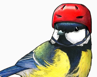 Great Tit in a Cycling Helmet - A4 Print