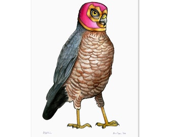 Sparrowhawk in a Mexican Wrestling Mask: A4 Print
