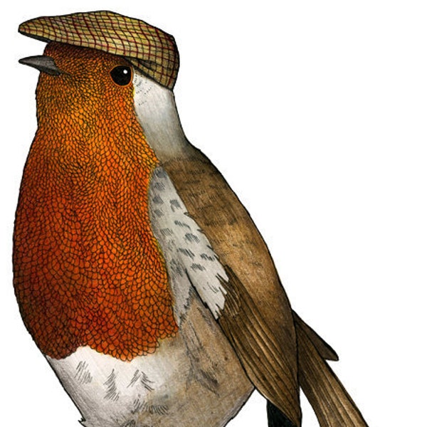 Robin in a Flat Cap: A4 Bird Print, Robin print, Birds in Hats, Birder art, Robin illustration, European Robin, Bird Art