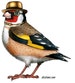 Goldfinch in a Gold Bowler and Bow Tie - A4 Print 