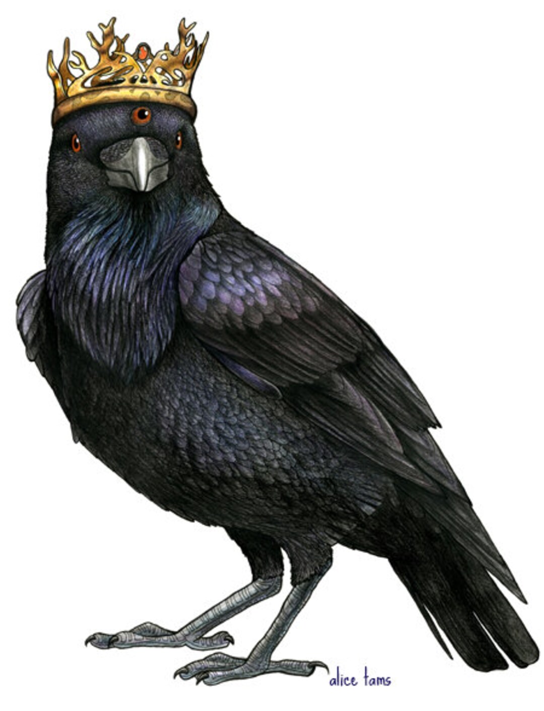 Three Eyed Raven in a Game of Thrones Crown A4 Print Etsy