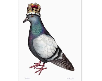 Pigeon in a Crown  - A3 Print