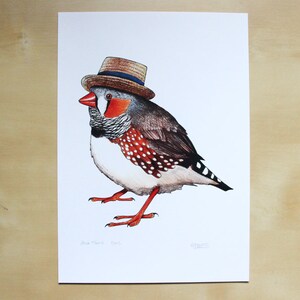 Zebra Finch in a Boater Hat A4 Print image 2