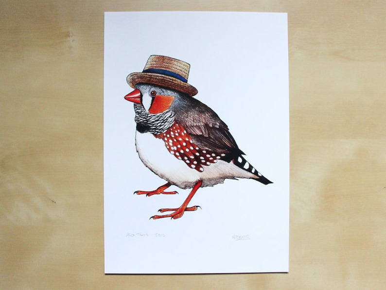 Zebra Finch in a Boater Hat A4 Print image 2