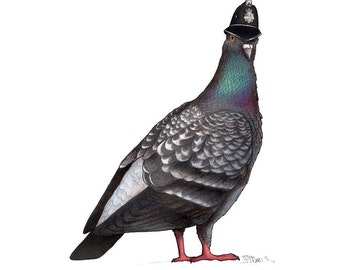 Pigeon in a Policeman's Hat  - A4 Print