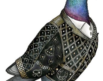 Pearly King Pigeon - A4 Print