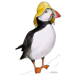 Puffin in a Sou'wester - A4 archival quality print image 1