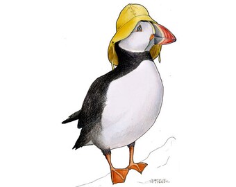 Puffin in a Sou'wester  - A4 archival quality print