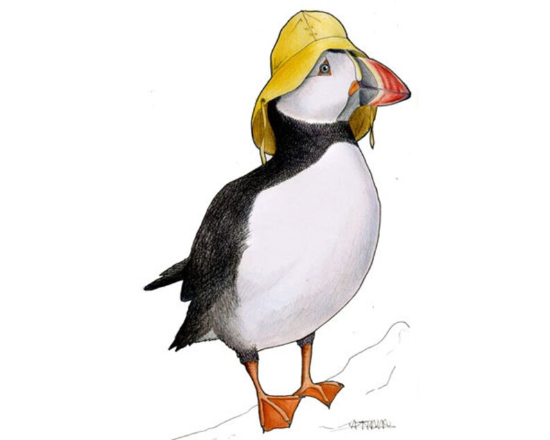Puffin in a Sou'wester - A4 archival quality print image 1