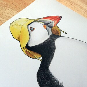 Puffin in a Sou'wester - A4 archival quality print image 2