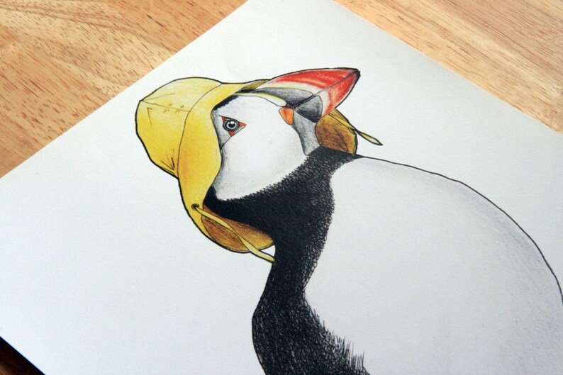 Puffin in a Sou'wester - A4 archival quality print image 2