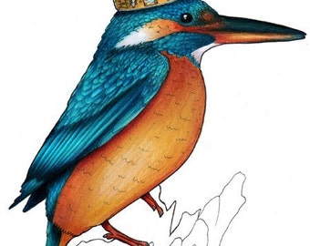 Kingfisher in a Crown: A4 Print