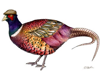 Pheasant in a Flat Cap: A4 Print