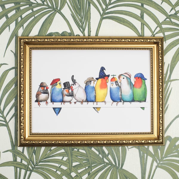 A Row of Birds in Hats - A4 Print