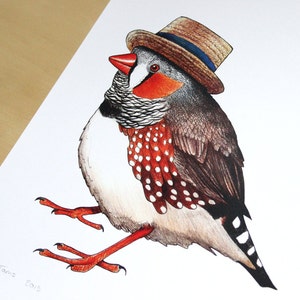 Zebra Finch in a Boater Hat A4 Print image 3
